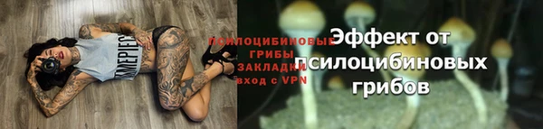эйфоретик Арсеньев