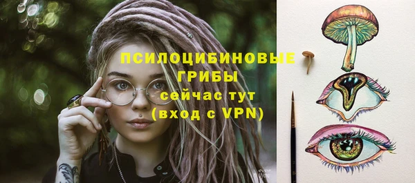 тгк Армянск