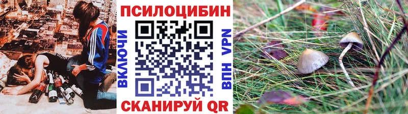 OMG вход  Суровикино  Галлюциногенные грибы мицелий  дарнет шоп 